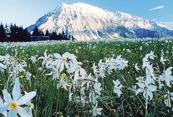 Austria