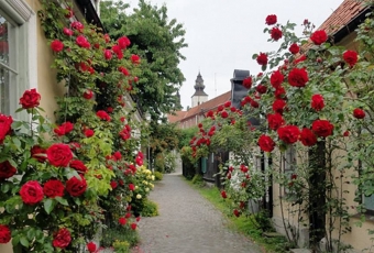Gotland_02