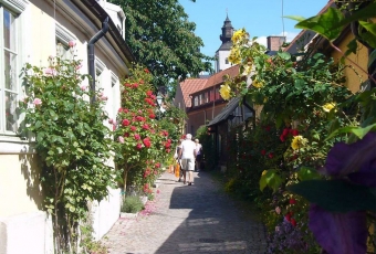 Gotland_04