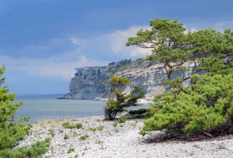 Gotland_06